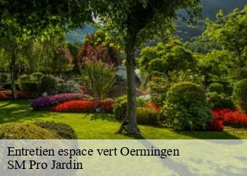 Entretien espace vert  oermingen-67970 SM Pro Jardin