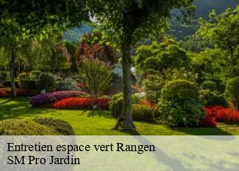 Entretien espace vert rangen-67310 SM Pro Jardin