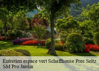 Entretien espace vert schaffhouse-pres-seltz-67470 SM Pro Jardin