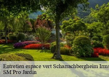 Entretien espace vert scharrachbergheim-irmstet-67310 SM Pro Jardin
