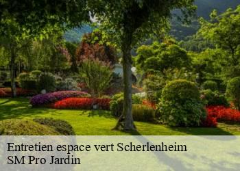 Entretien espace vert  scherlenheim-67270 SM Pro Jardin