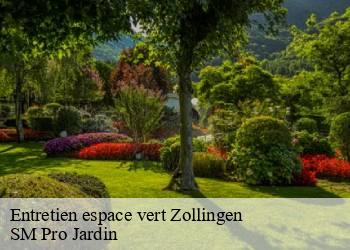 Entretien espace vert  zollingen-67260 SM Pro Jardin