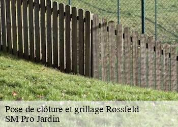 Pose de clôture et grillage rossfeld-67230 SM Pro Jardin