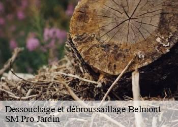 Dessouchage et débroussaillage belmont-67130 SM Pro Jardin