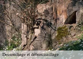 Dessouchage et débroussaillage