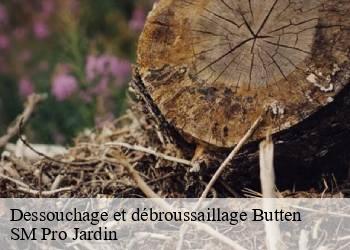 Dessouchage et débroussaillage butten-67430 SM Pro Jardin