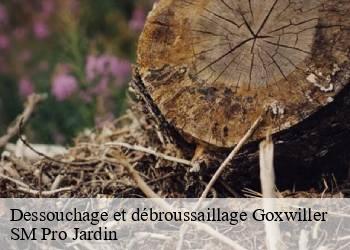 Dessouchage et débroussaillage goxwiller-67210 SM Pro Jardin