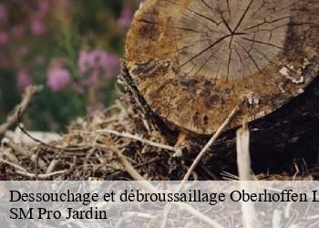 Dessouchage et débroussaillage  oberhoffen-les-wissenbour-67160 SM Pro Jardin