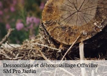 Dessouchage et débroussaillage  offwiller-67340 SM Pro Jardin