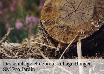 Dessouchage et débroussaillage  rangen-67310 SM Pro Jardin