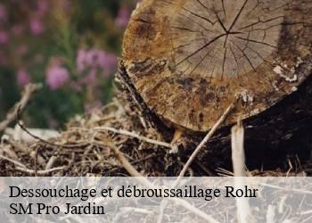 Dessouchage et débroussaillage rohr-67270 SM Pro Jardin