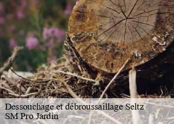 Dessouchage et débroussaillage  seltz-67470 SM Pro Jardin