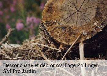 Dessouchage et débroussaillage  zollingen-67260 SM Pro Jardin