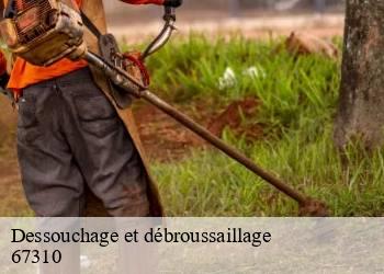 Dessouchage et débroussaillage  67310