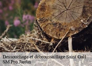 Dessouchage et débroussaillage  saint-gall-67440 SM Pro Jardin