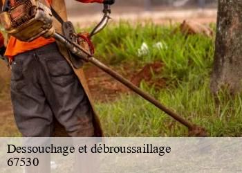 Dessouchage et débroussaillage 67530