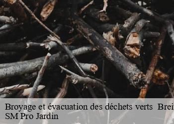 Broyage et évacuation des déchets verts breitenbach-67220 SM Pro Jardin