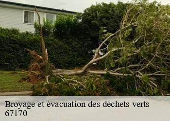 Broyage et évacuation des déchets verts   67170