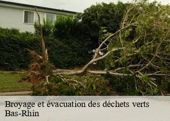 Broyage et évacuation des déchets verts