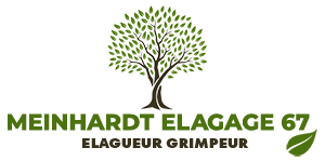 elagage-meinhardt-elegage-67