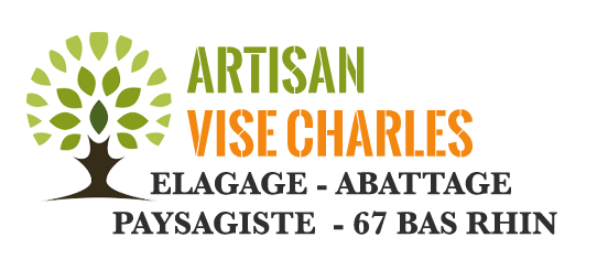 Vise Charles elagage 67